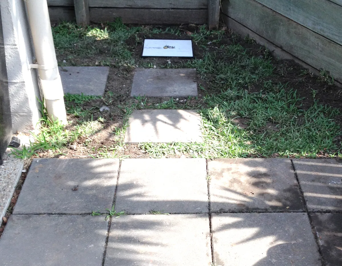 Work completed for Brendon S in Springfield Lakes