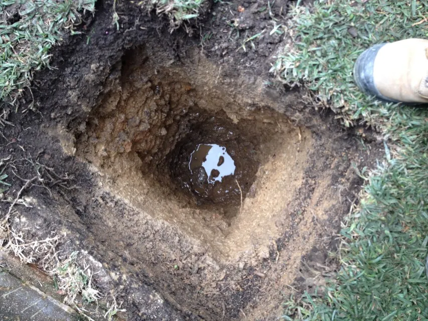 Work completed for Katrina and Andrea in Sydney